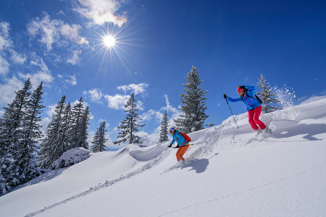 Zwei Frauen auf Skitour fahren durch Pulverschneehang ab, Tanzeck, Spitzinggebiet, Mangfallgebirge, Bayerische Alpen, Oberbayern, Bayern, Deutschland