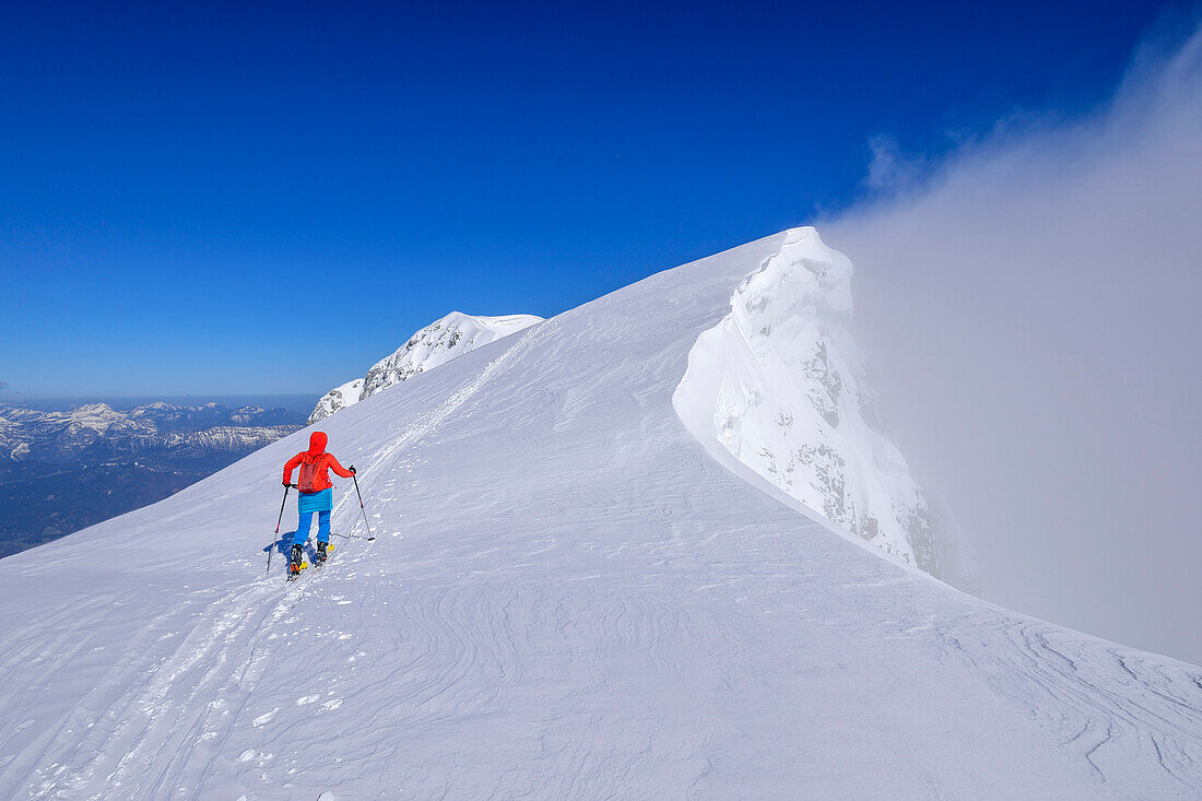 Frau auf Skitour steigt an Schneegrat entlang zum Hohen Göll auf, Hoher Göll, Berchtesgadener Alpen, Nationalpark Berchtesgaden, Oberbayern, Bayern, Deutschland