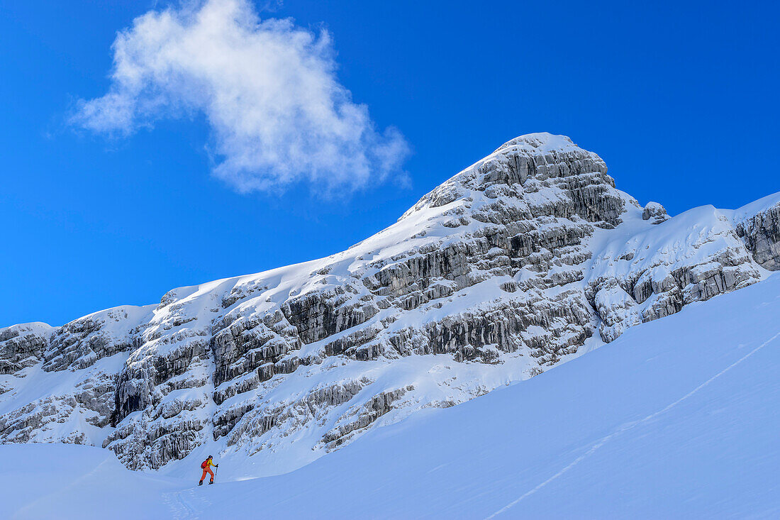 Frau auf Skitour steigt ins Watzmannkar auf, Watzmannkar, Drittes Watzmannkind, Berchtesgadener Alpen, Nationalpark Berchtesgaden, Oberbayern, Bayern, Deutschland