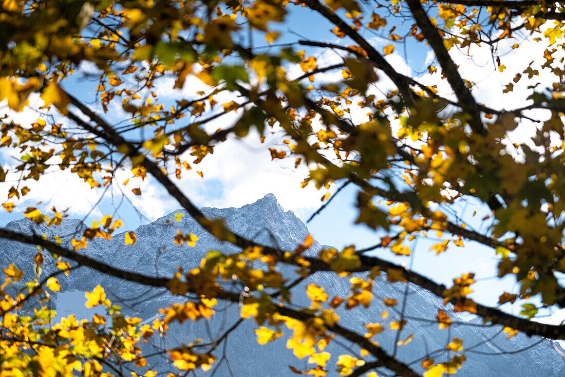 Blick auf das Karwendelgebirge vom großen Ahornboden aus, Karwendel, Tirol, Österreich