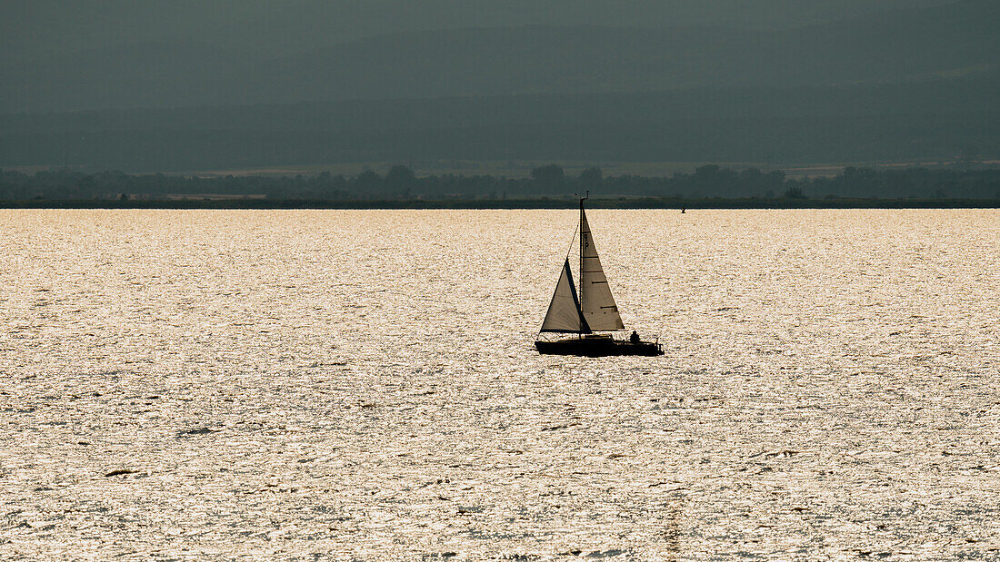 Sailboat in the sunset on Lake Neusiedl in Burgenland, Austria