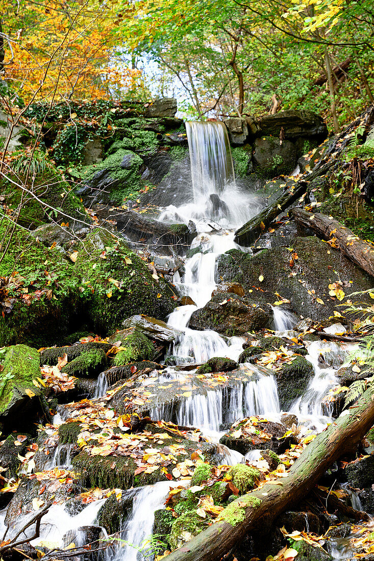 The Laubach waterfall near Melsbach in autumn, Melsbach, Rhineland-Palatinate, Germany
