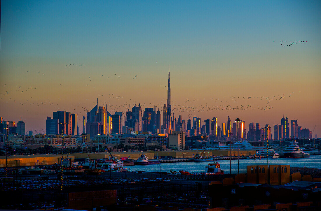 Vogelschwarm bei Dämmerung vor der Skyline von Dubai, Vereinigte Emirate