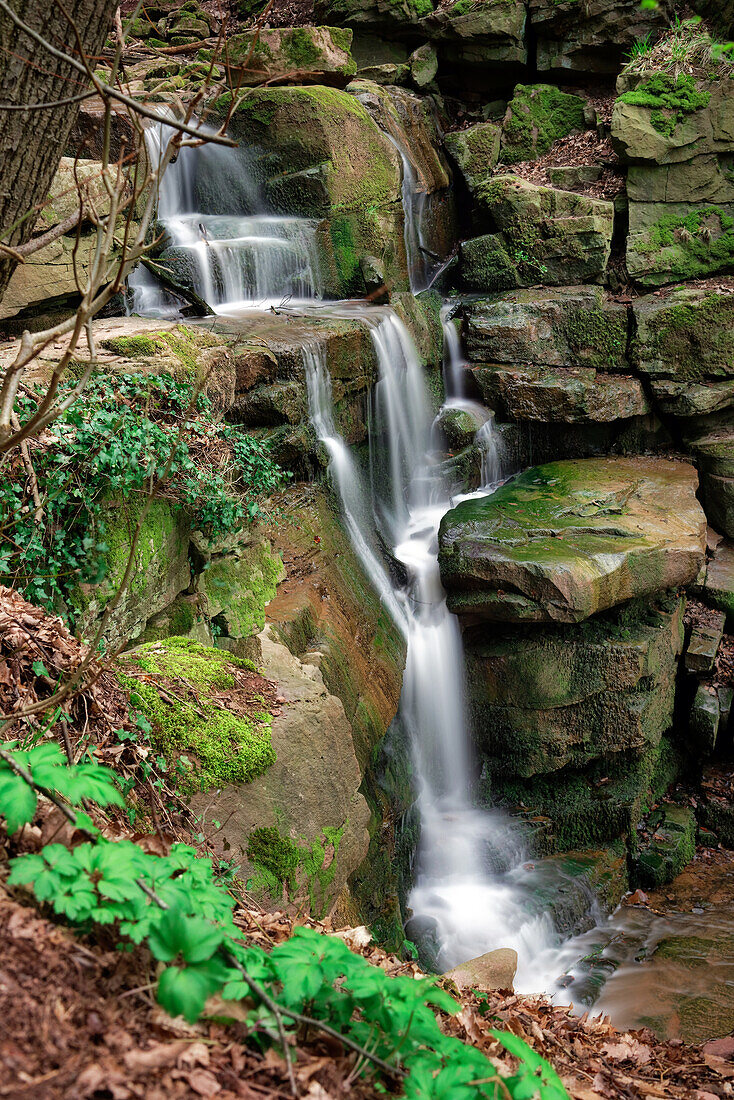 In the middle part of the Margarethen Gorge, Neckartal-Odenwald Nature Park, Baden-Württemberg, Neckar, Germany.