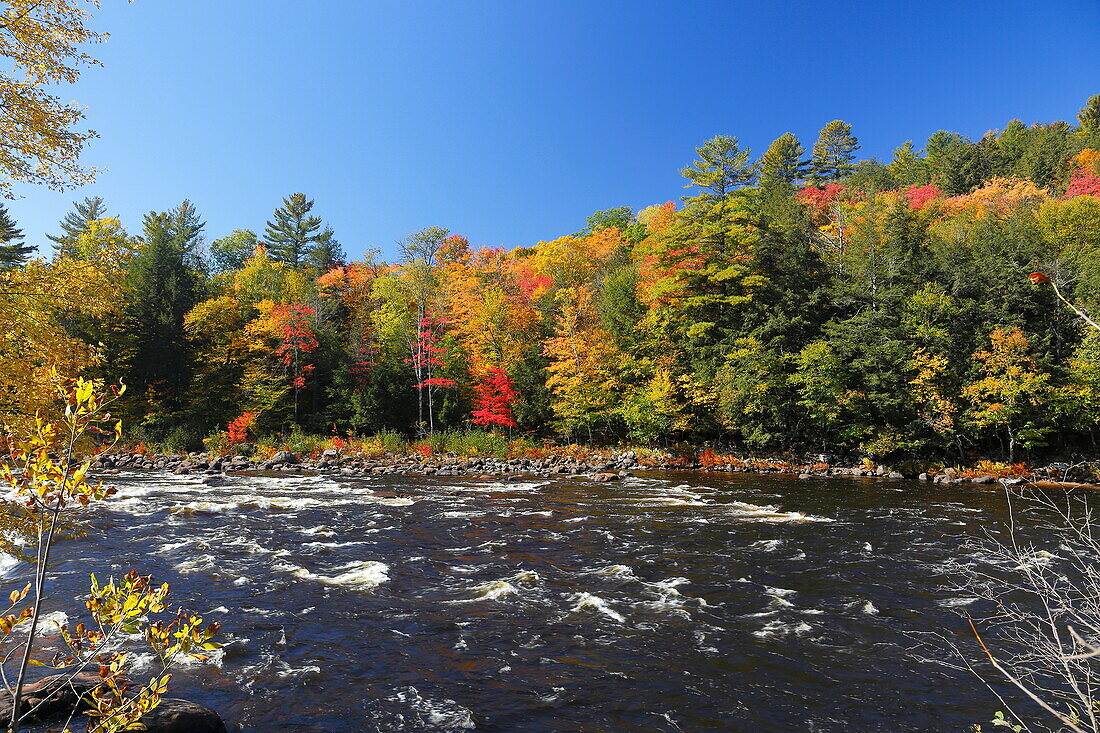 Landscape at the Red River, Quebec, Canada