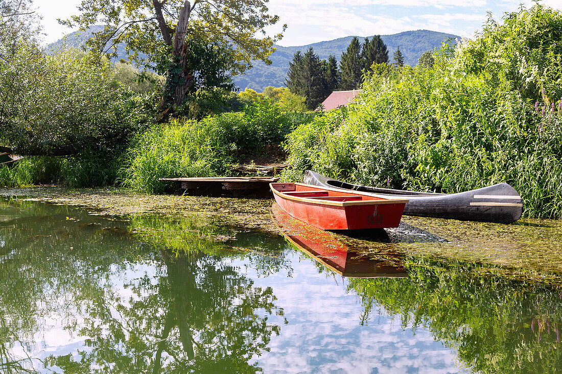 Kostanjevica na Krki; Krka; Fluss; Ruderboote, Slowenien