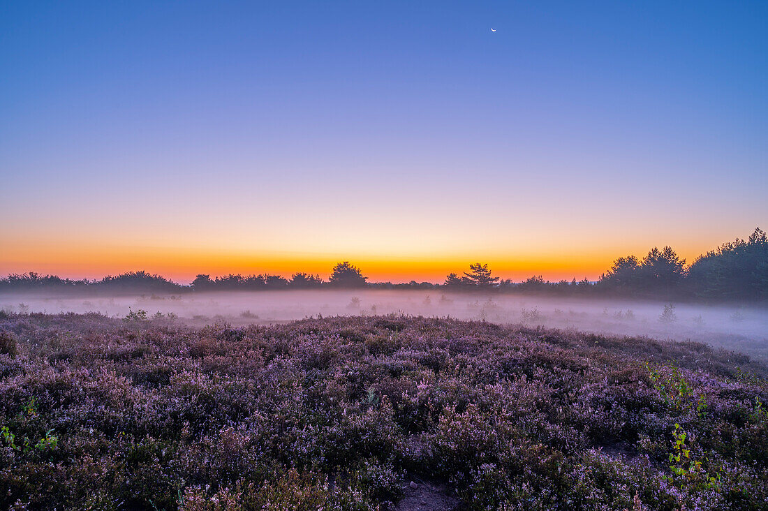 Sunrise in the Mehlinger Heide near Kaiserslautern, Rhineland-Palatinate, Germany