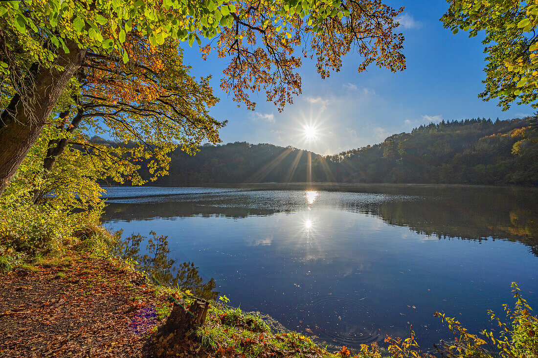 Sonnenaufgang am Immerather Maar, Immerath, Eifel, Rheinland-Pfalz, Deutschland