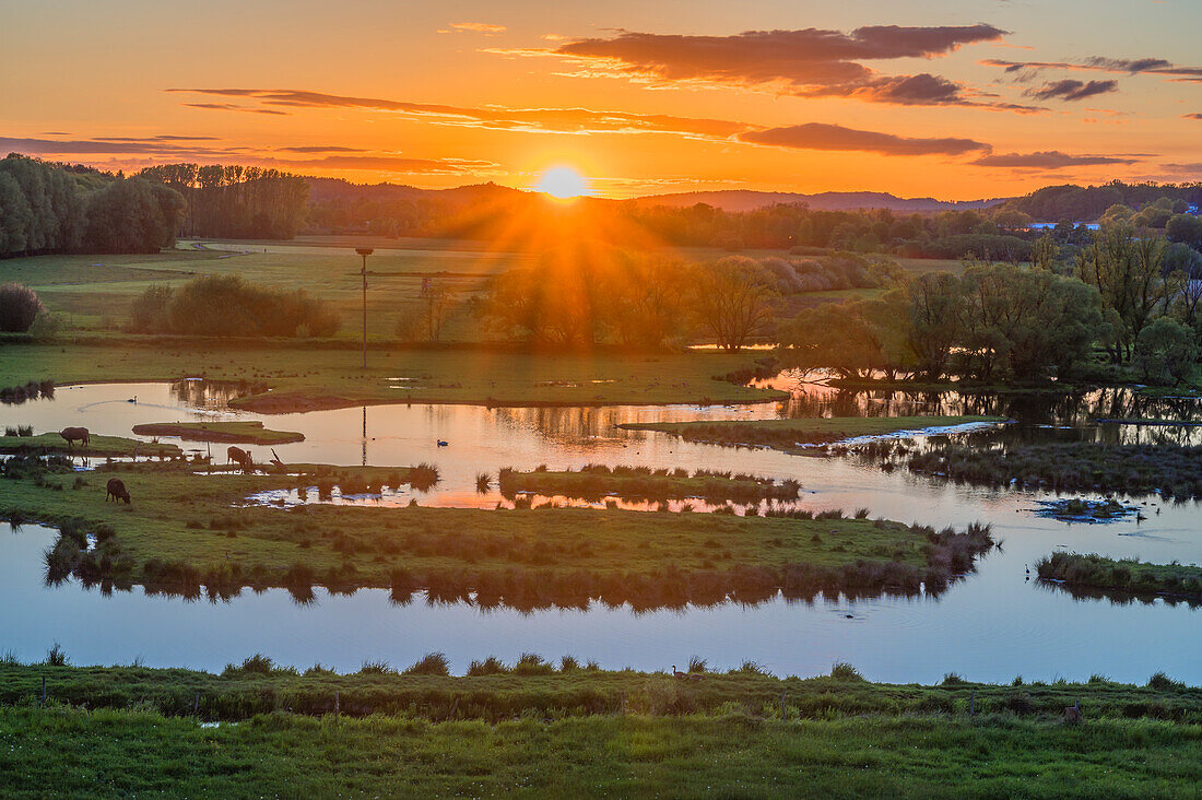 Sonnenuntergang im Biotop Beeden bei Homburg, Bliesgau, Saarland, Deutschland