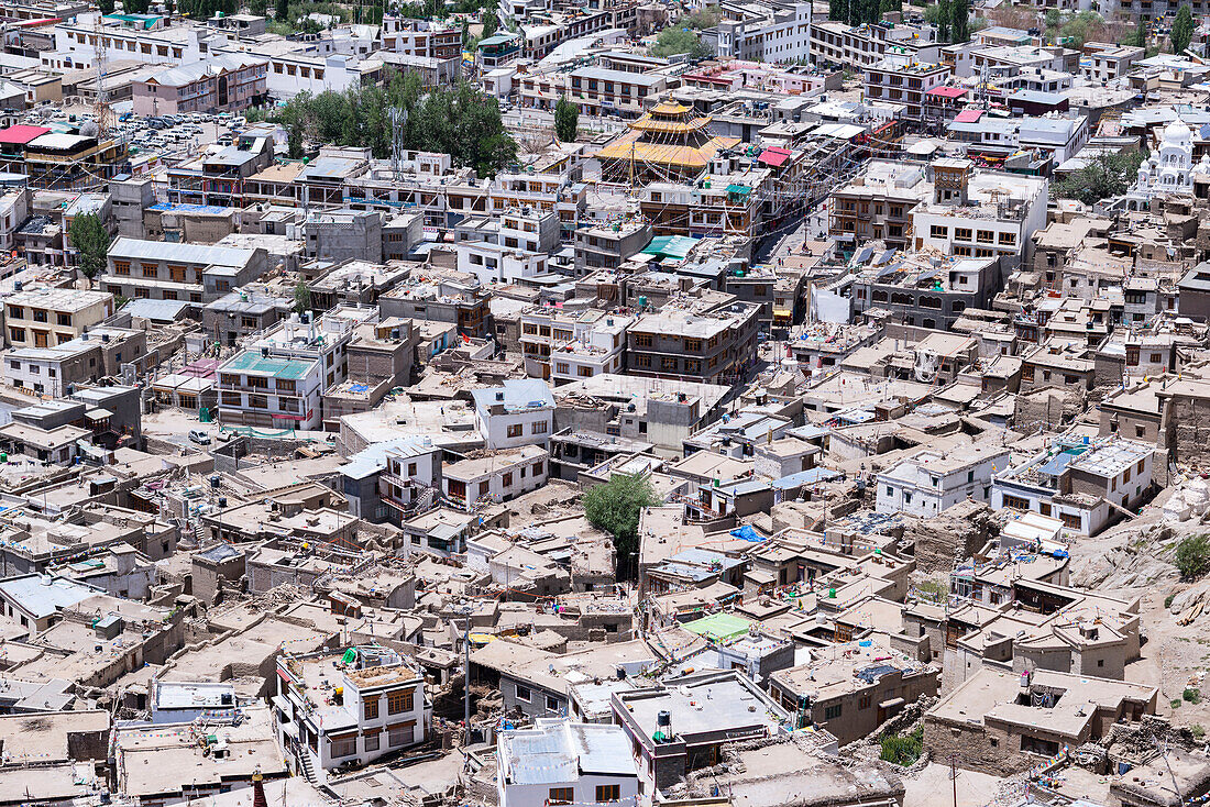 Häusermeer in Leh, Ladakh, Jammu und Kaschmir, Indien, Asien