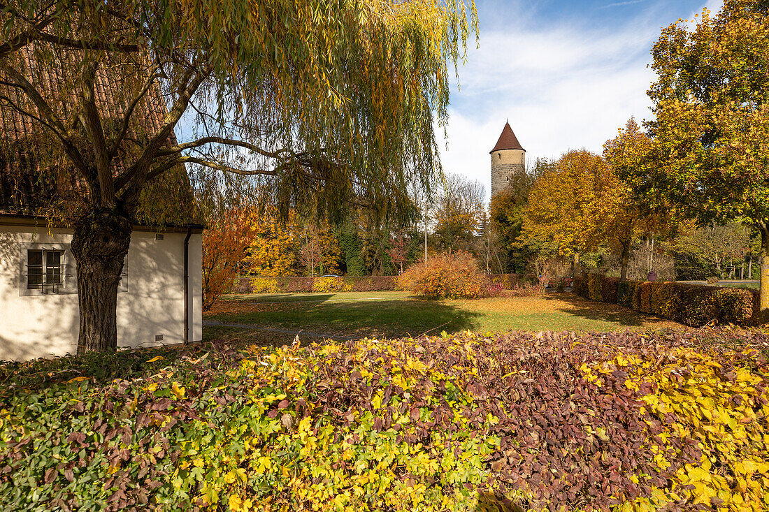 Herbstliche Stimmung am Friedhof in Iphofen, Kitzingen, Unterfranken, Franken, Bayern, Deutschland, Europa