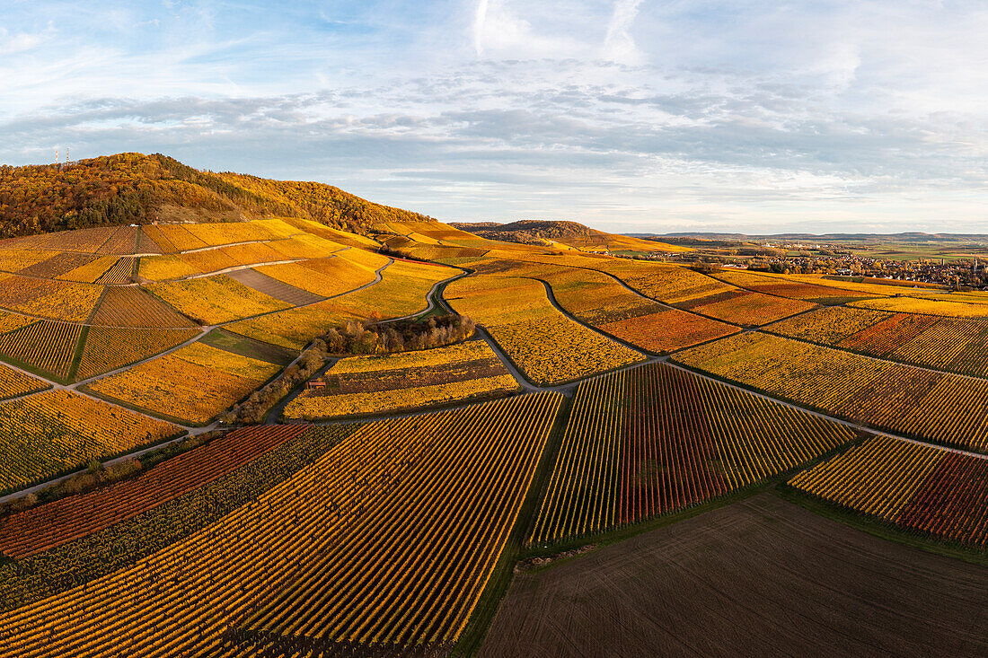 Colorful vineyards at Schwanberg, Rödelsee, Iphofen, Kitzingen, Lower Franconia, Franconia, Bavaria, Germany, Europe