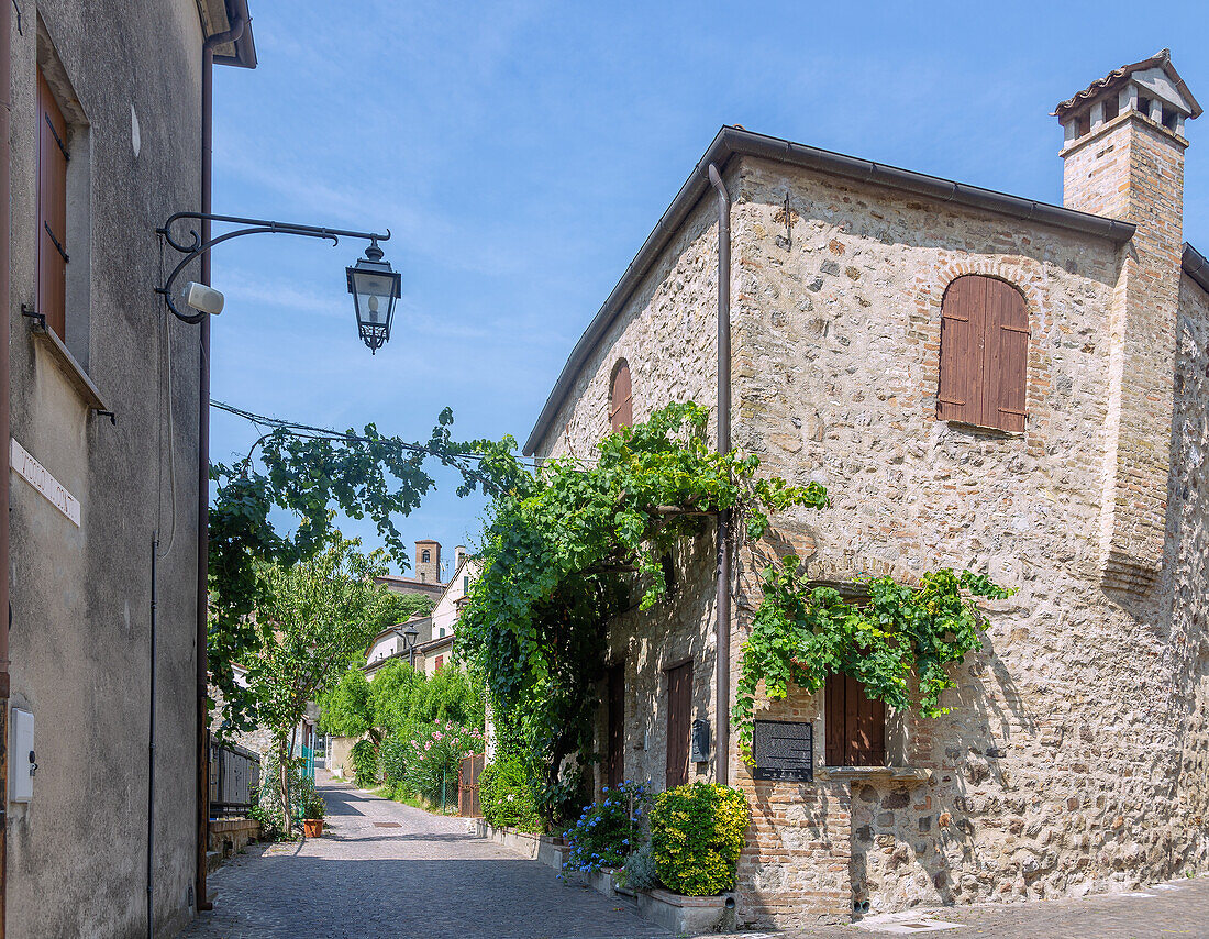 Arquà Petrarca; Vicolo i Conti, Venetien, Italien