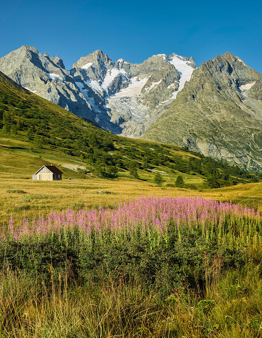 La Meije from the Col du Lautaret, Rhones Alpes, Hautes-Alpes, France