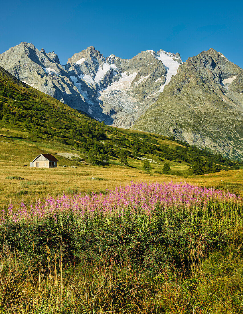 La Meije vom Col du Lautaret, Rhones Alpes, Hautes-Alpes, Frankreich