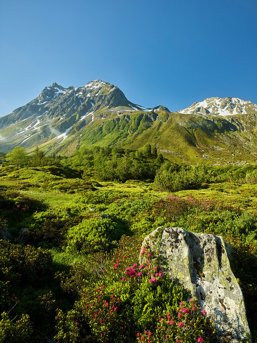 Kleine Lobspitze, Silvrettagruppe, Bielerhöhe, Vorarlberg, Österreich