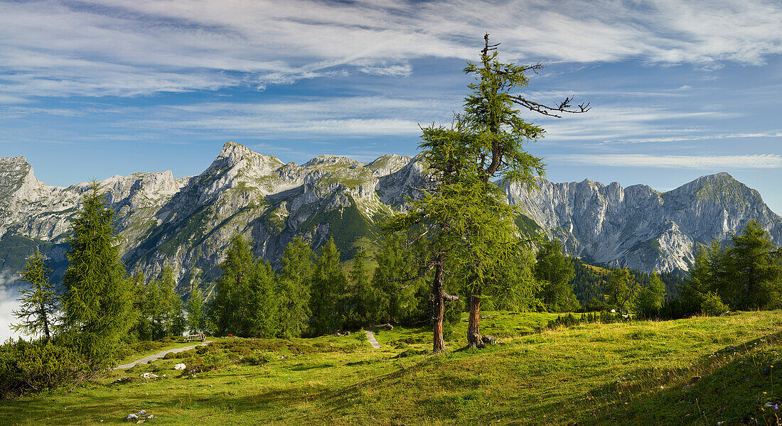 Tennengebirge von der Bischlinghöhe, Werfenweng, Salzburg, Österreich