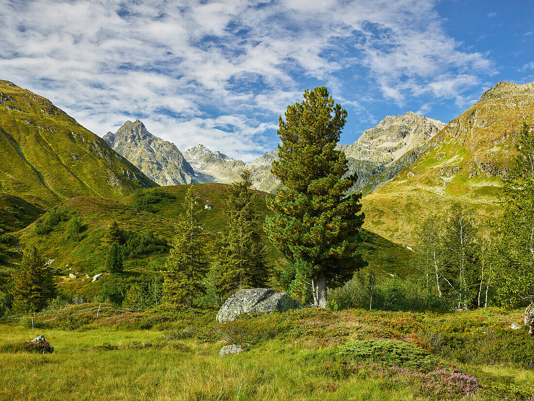 Silvretta Group, Großvermunt, Bielerhöhe, Vorarlberg, Austria