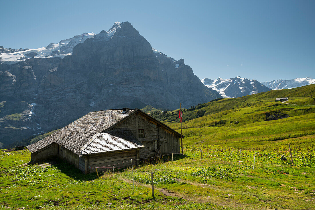 Alp Grindel, Grindelwald, Berner Oberland, Schweiz