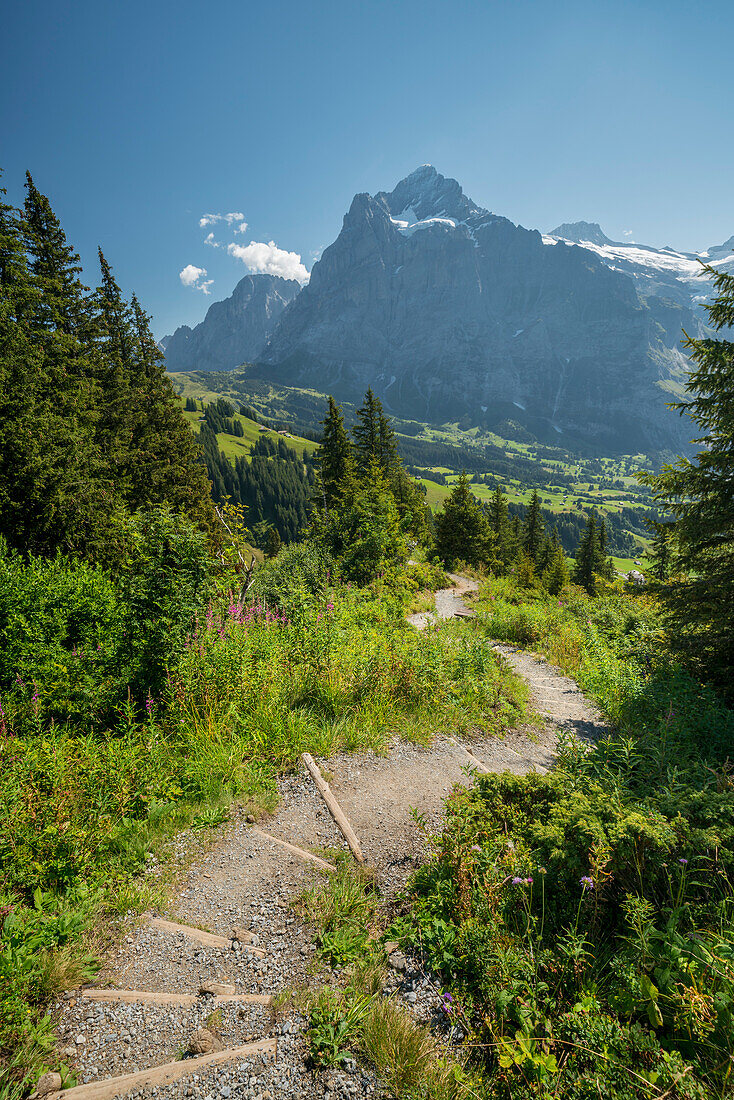 Wetterhorn, Grindelwald, Berner Oberland, Schweiz