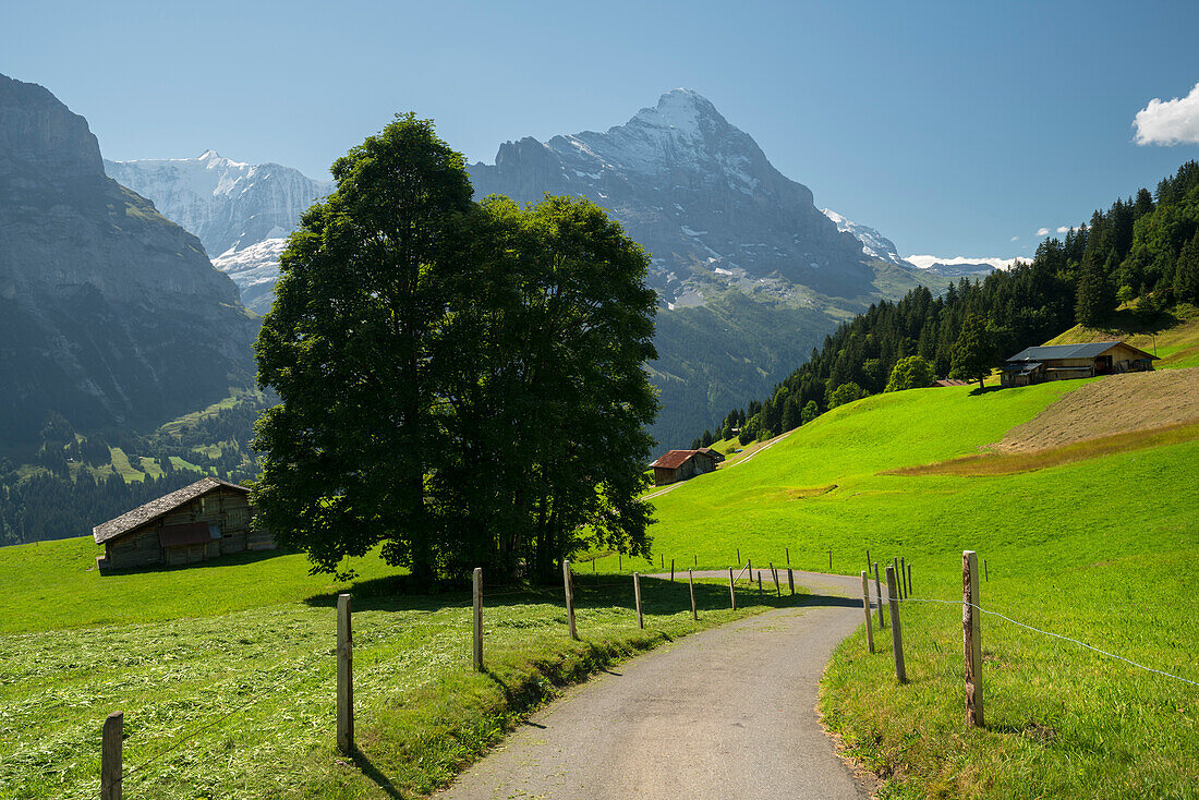 Eiger, Grindelwald, Bernese Oberland, Switzerland