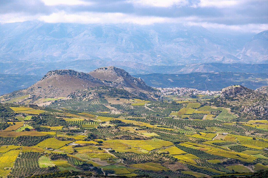 Archanes, wine region