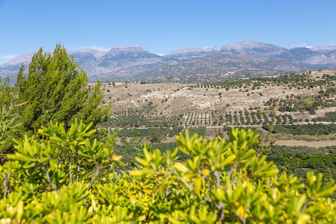 Ida-Gebirge; Messara-Ebene, Ausblick von Festos, griechische Insel, Kreta, Griechenland