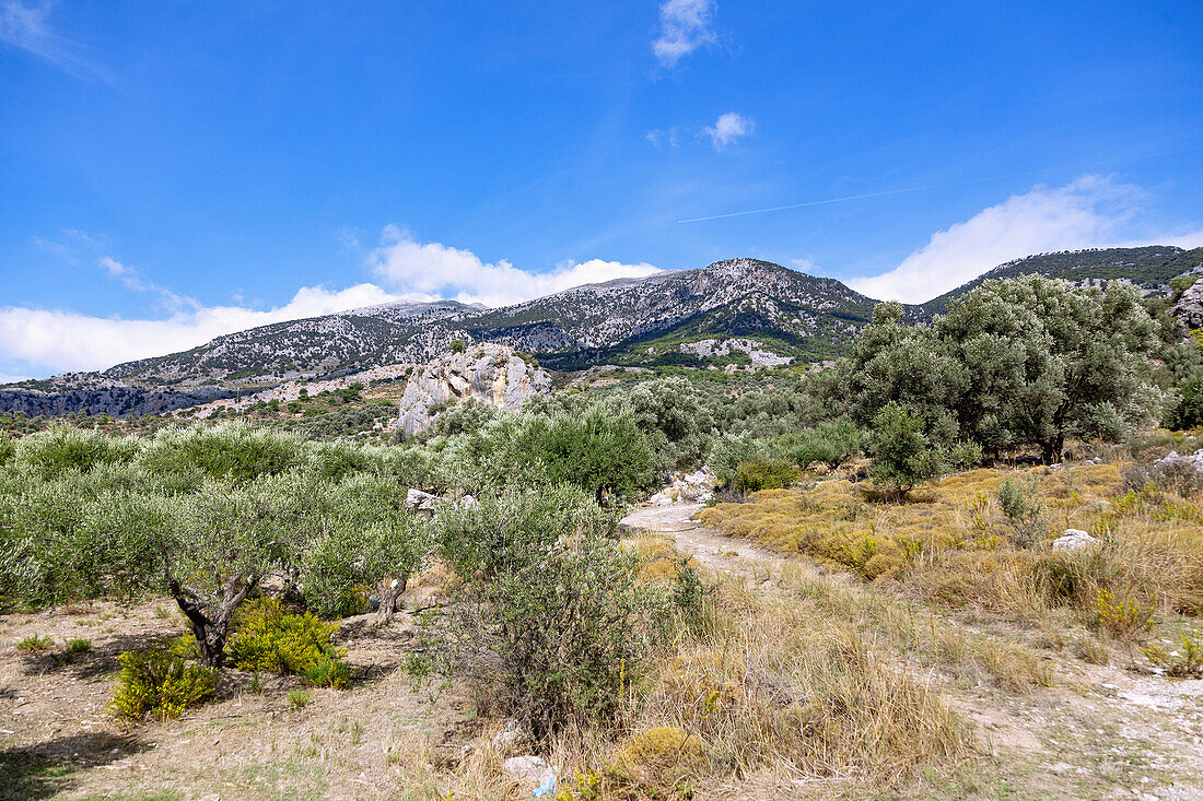 Nida plateau near Zaros