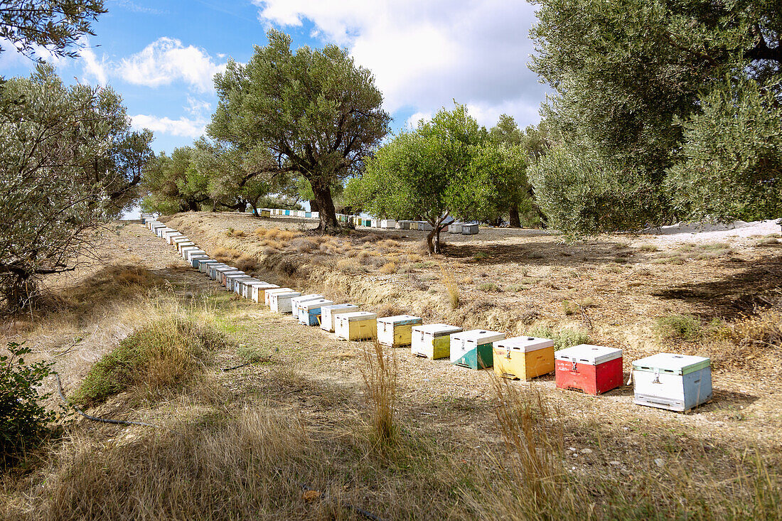 Zaros; Bienenkästen, Wanderung zur Rouvas-Schlucht, griechische Insel, Kreta, Griechenland