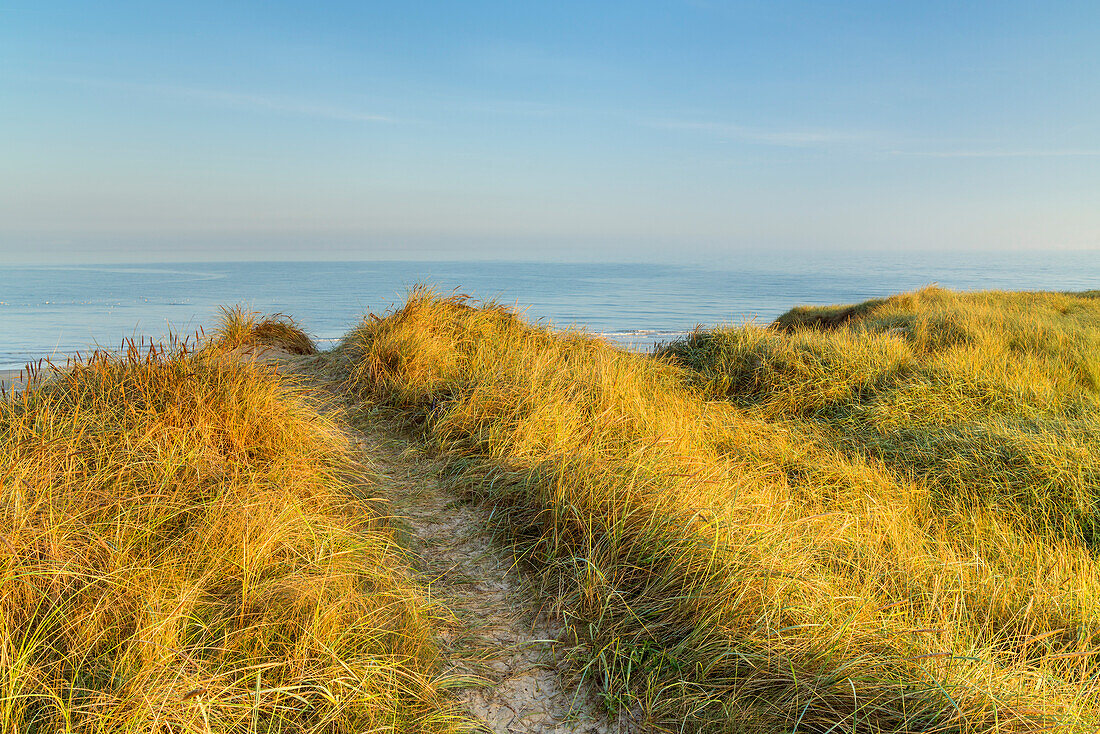 Path across the dune overlooking the North Sea, Løkken, North Jutland, Jutland, Denmark