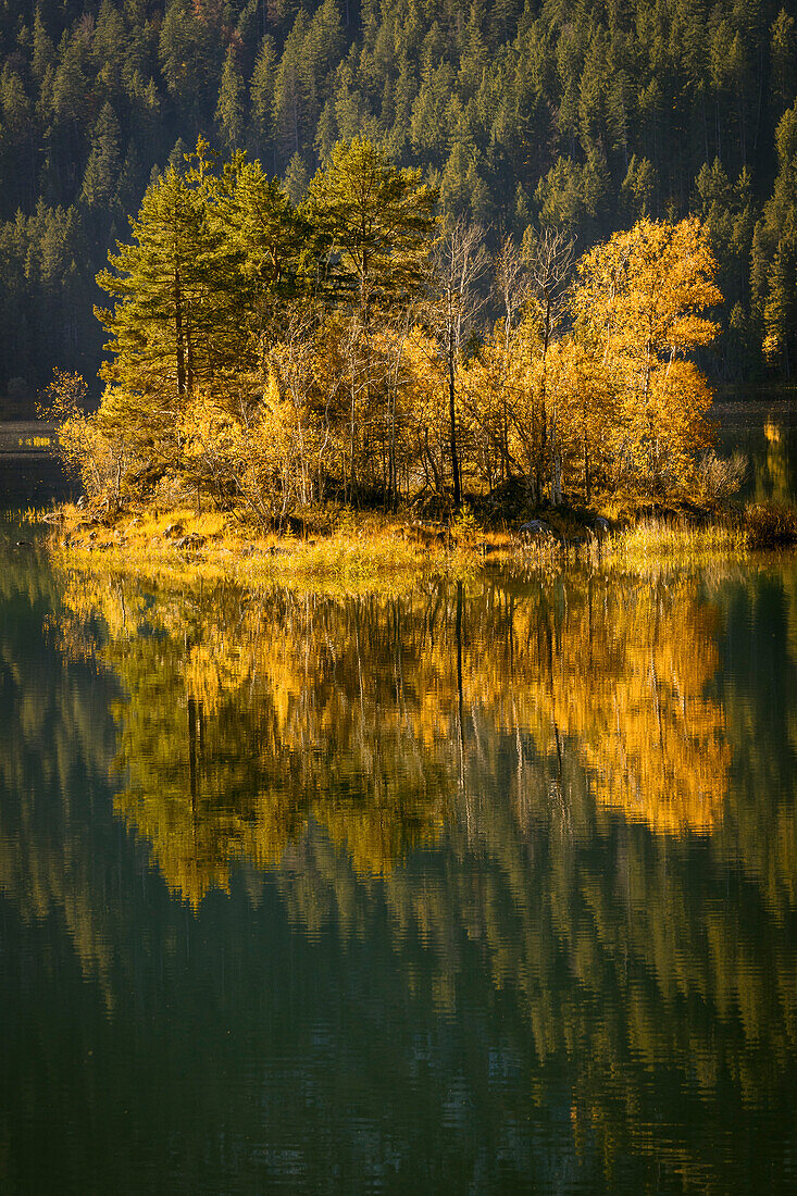 Small island in the autumnal Eibsee, Grainau, Upper Bavaria, Bavaria, Germany