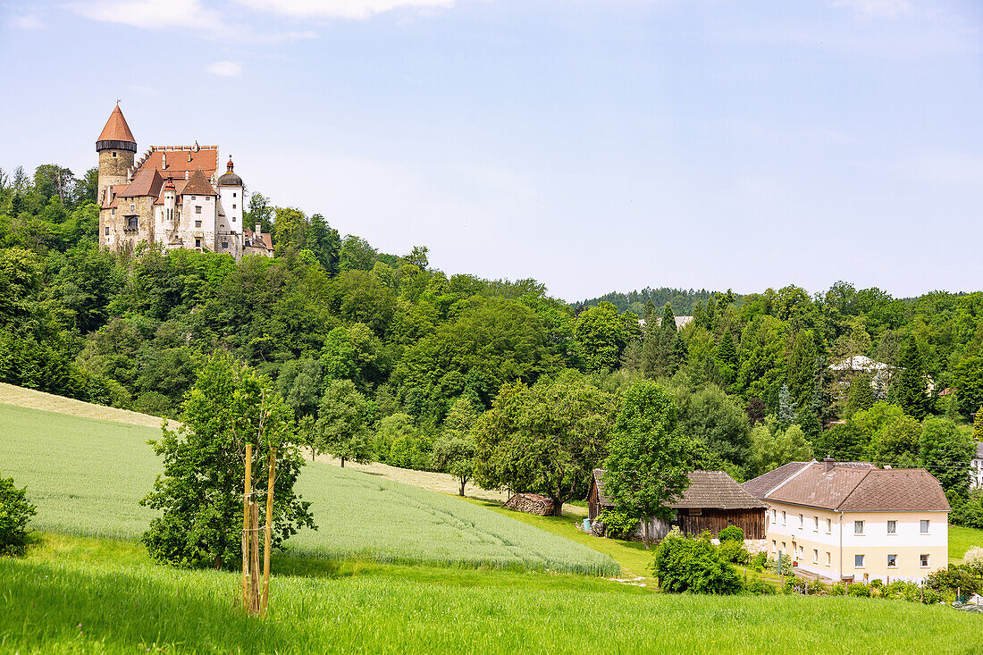 Burg Clam, Klam, Strudengau, Oberösterreich, Österreich