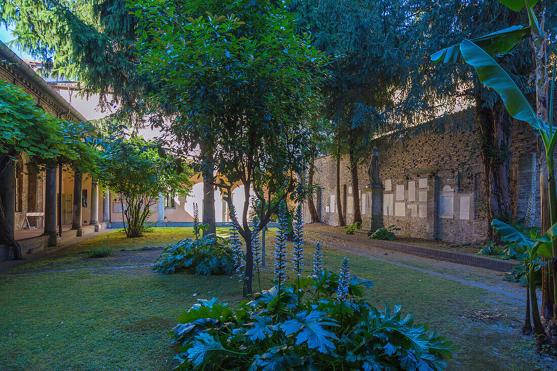 Ravenna, Basilica di Sant'39; Apollinare Nuovo, cloister