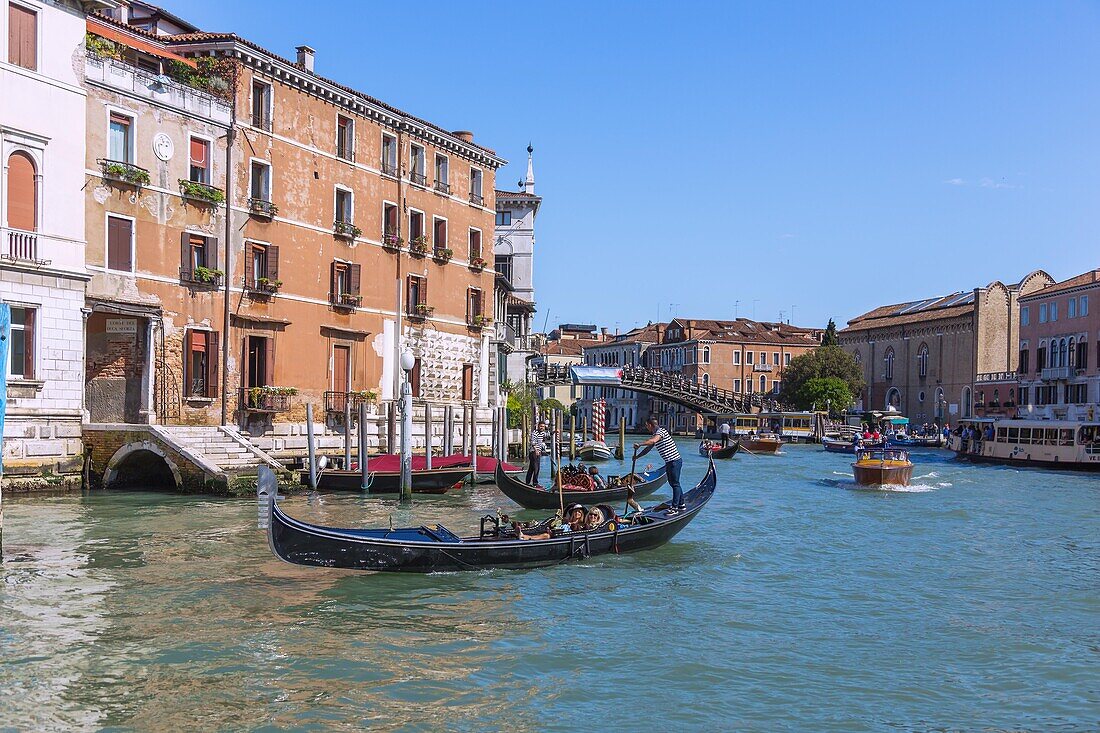 Venedig, Canal Grande, Ponte dell'Accademia, Gondolieri, Venetien, Italien