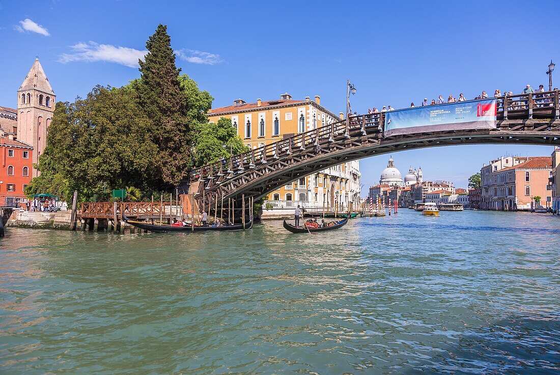 Venedig, Campo San Vidal, Ponte dell'Accadmia, Palazzo Cavalli-Franchetti, Canal Grande, und Santa Maria della Salute, Venetien, Italien