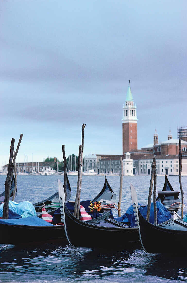 Gondolas moored and bell tower in the background, St Mark's Campanile, Venice, Italy