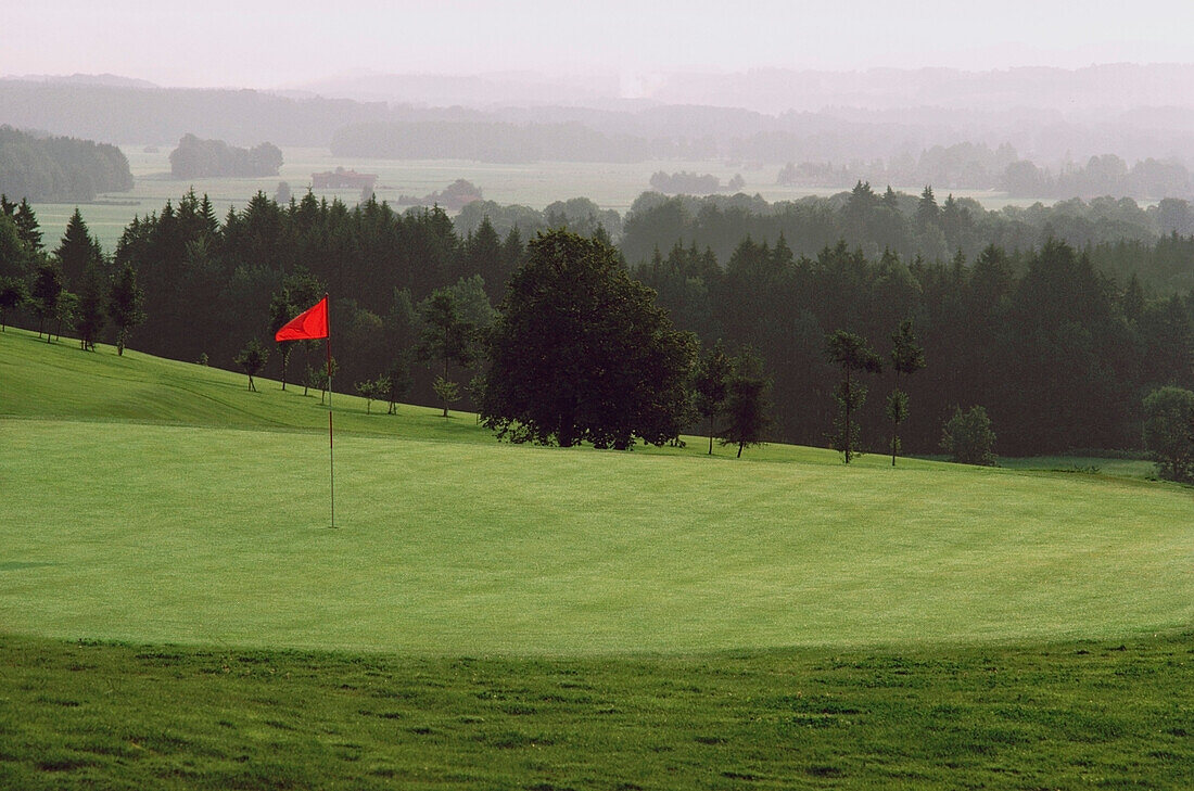 Golf flag in a golf course, Bavaria, Germany
