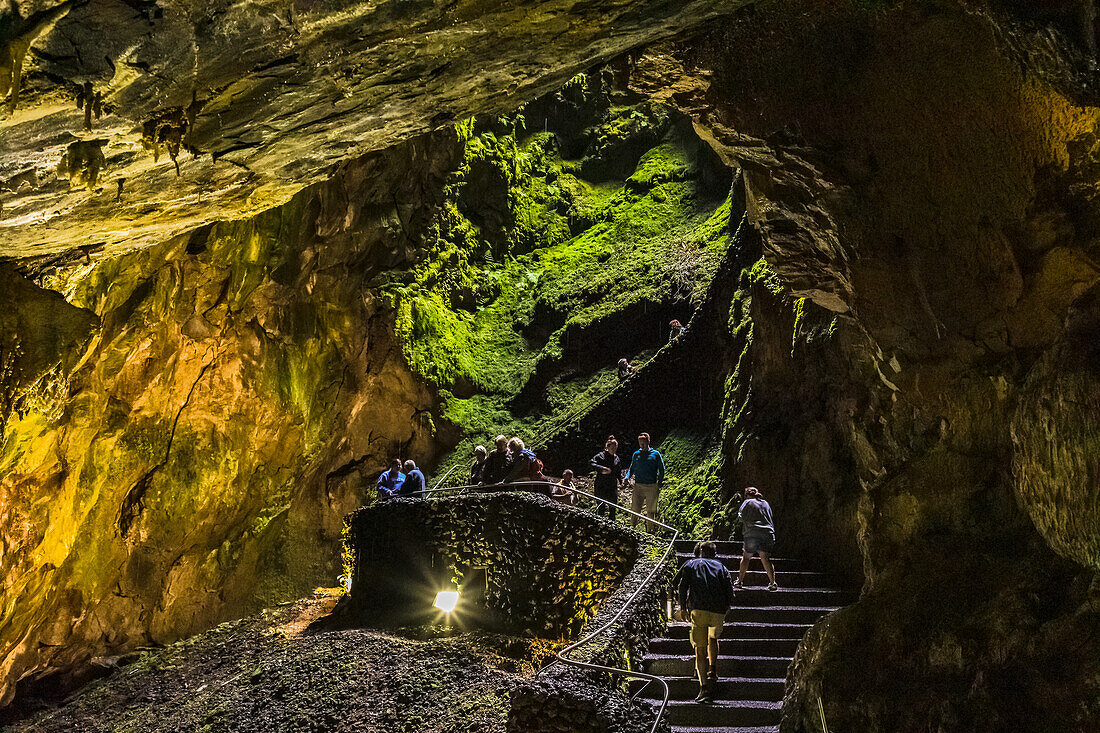 Stairs in the Algar do Carvão volcanic vent lead down into the dark, damp and overgrown volcanic vent, Terceira, Portugal