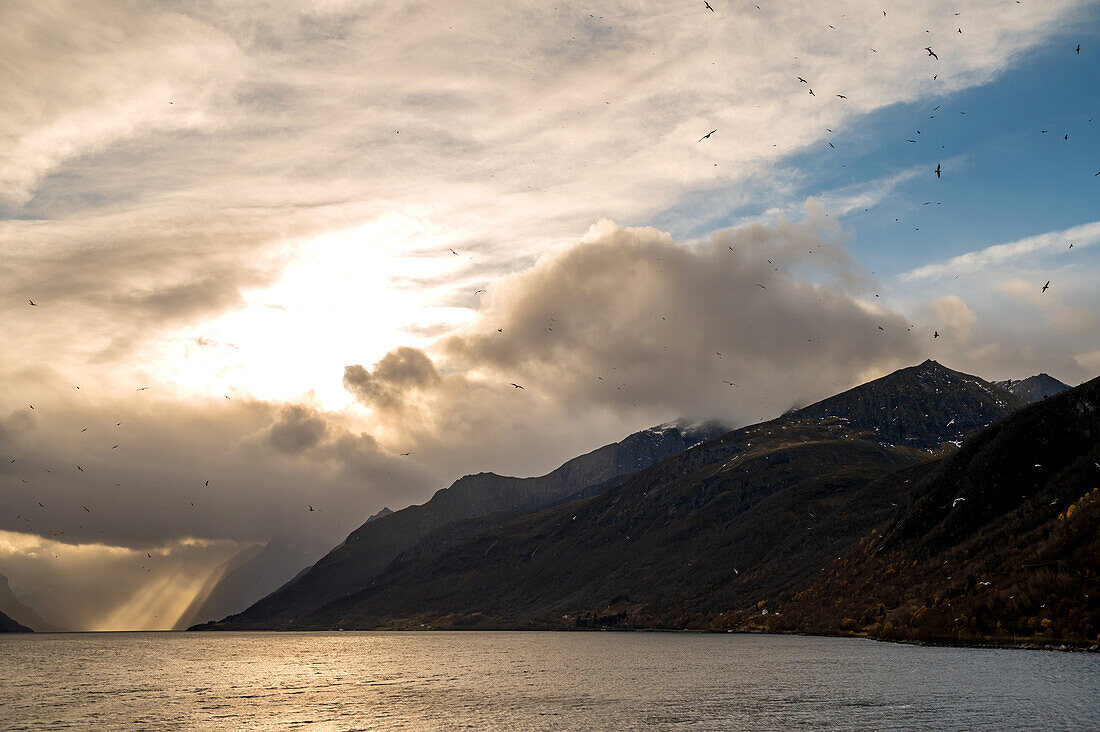 Entrance to the Hjoerundfjord, Moere and Romsdal, Hurtigrute, Norway, Europe