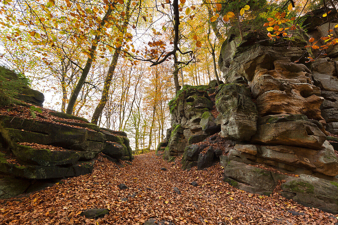 Sandstone rocks in the Teufesschlucht, Eifel, Rhineland-Palatinate, Germany