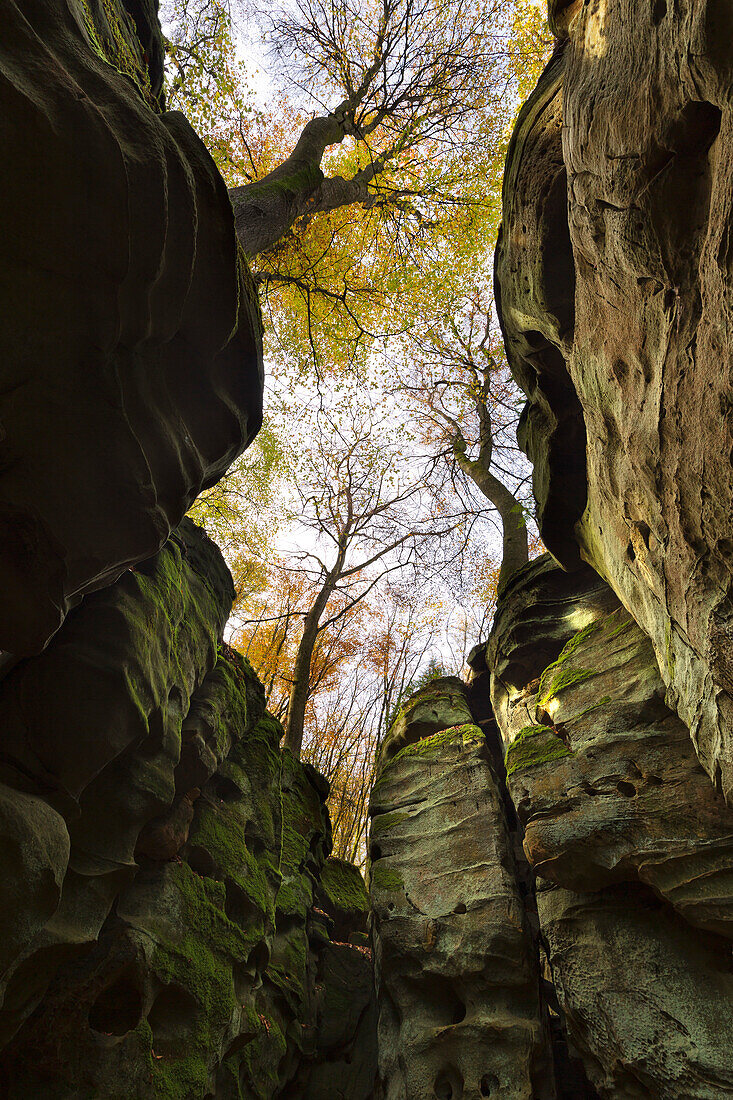 Sandstone rocks in the Teufesschlucht, Eifel, Rhineland-Palatinate, Germany