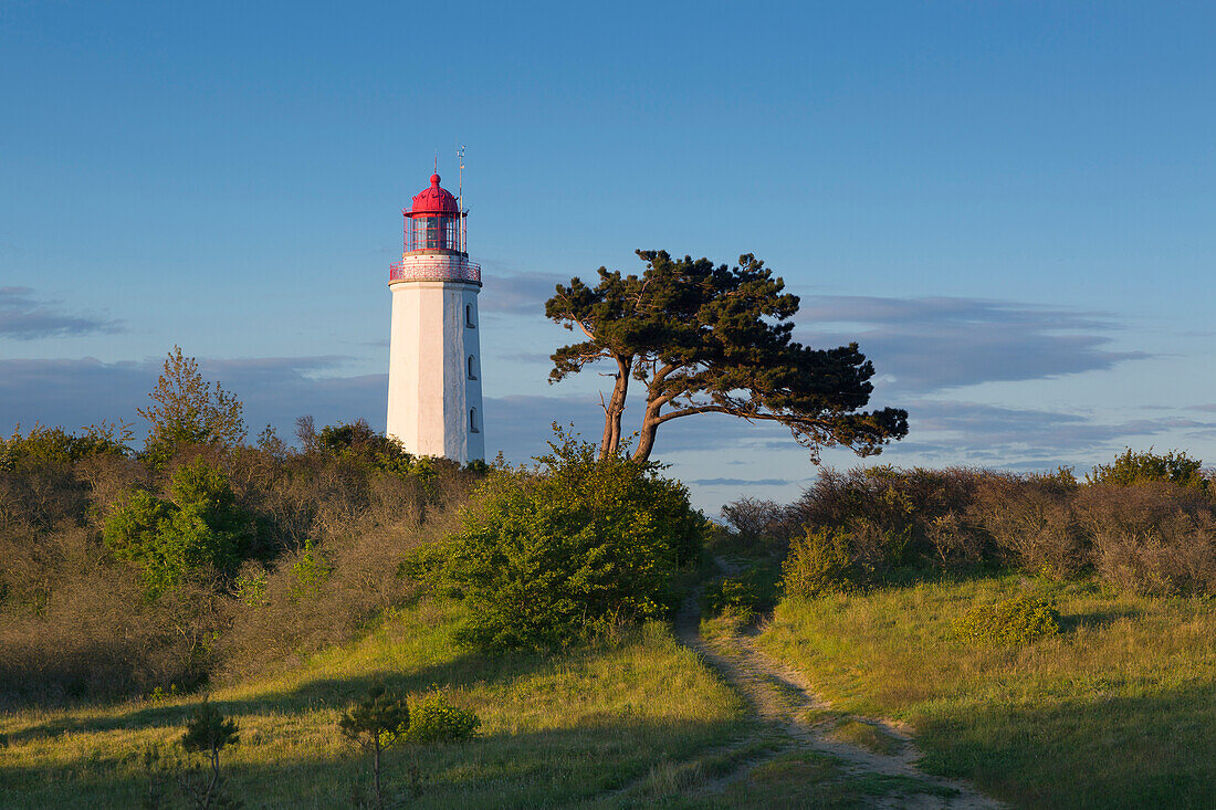 Lighthouse on the Dornbusch, Hiddensee, Baltic Sea, Mecklenburg-Western Pomerania, Germany