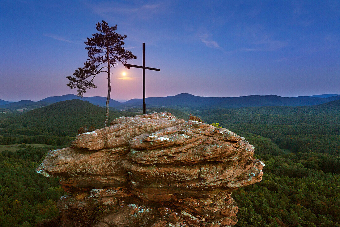 Moonrise, pine and cross on the sandstone cliffs, Dahner Felsenland, Palatinate Forest, Rhineland-Palatinate, Germany