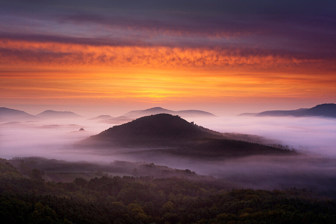Morning mist, Dahner Felsenland, Palatinate Forest, Rhineland-Palatinate, Germany