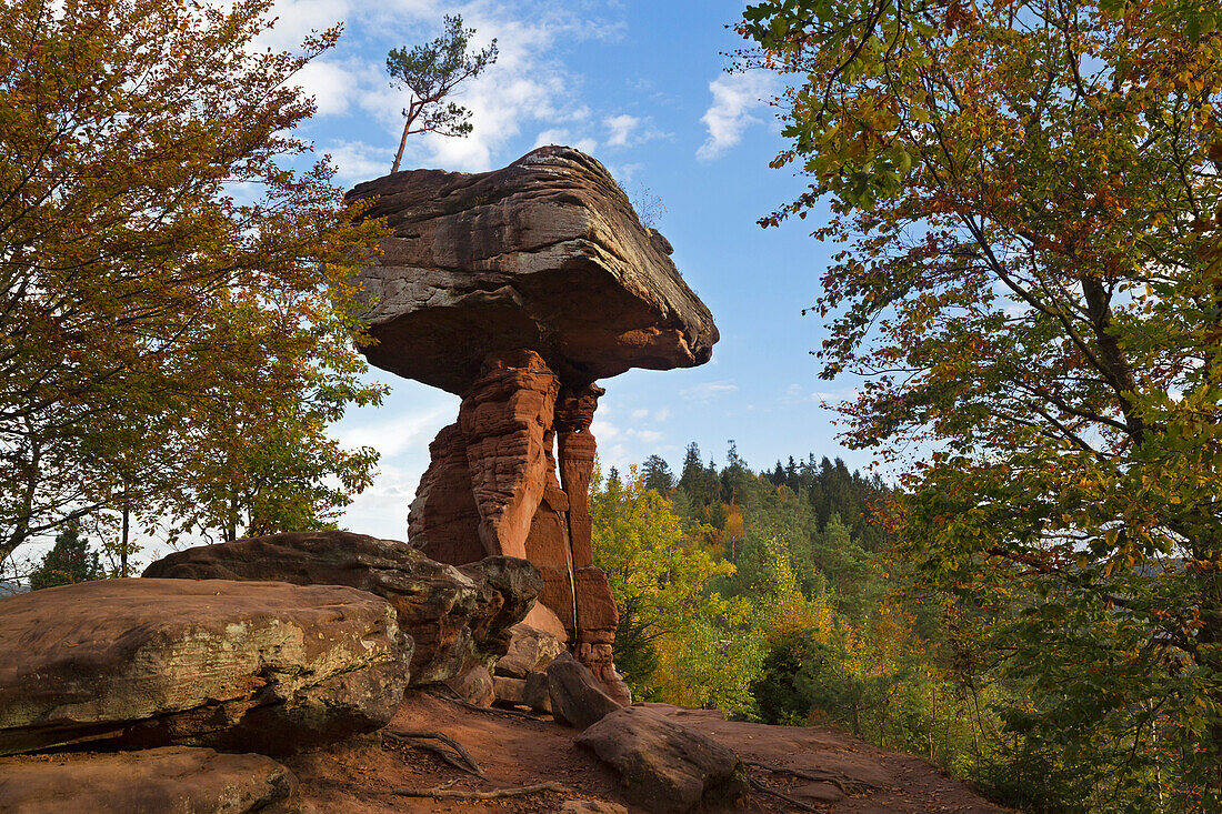 Teufelstisch, near Hinterweidenthal, Dahner Felsenland, Palatinate Forest, Rhineland-Palatinate, Germany