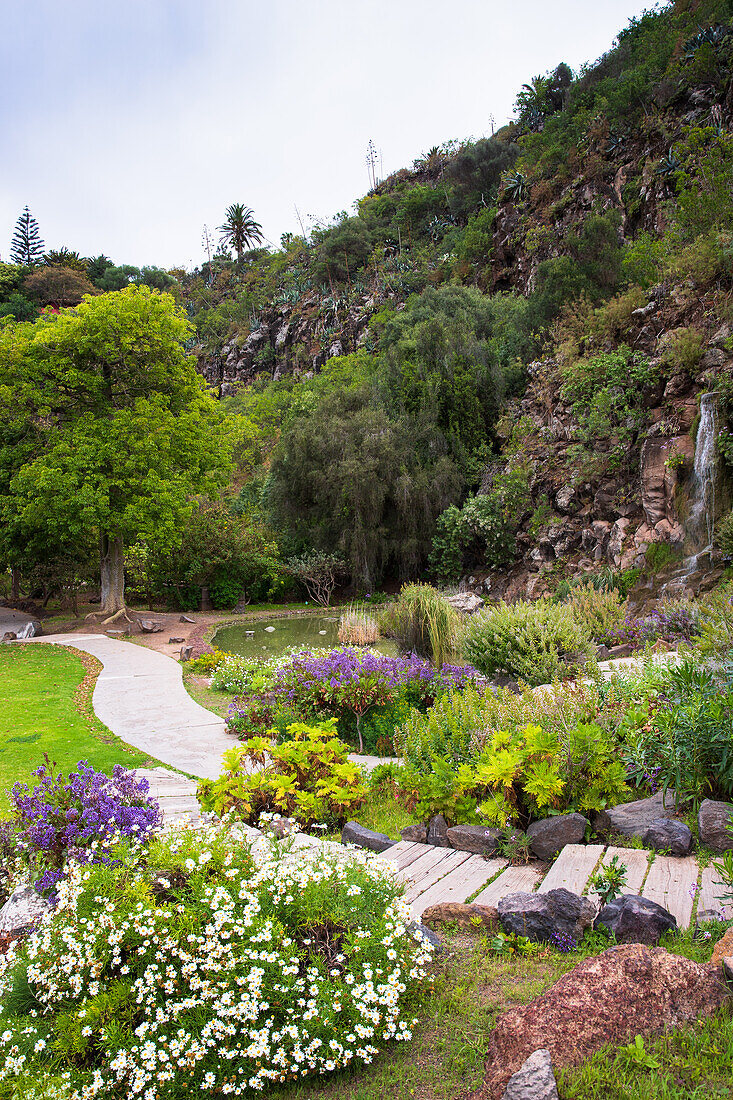 Jardin Canario Viera y Clavijo, Botanical Garden, Tafira, Las Palmas, Gran Canaria, Canary Islands, Spain