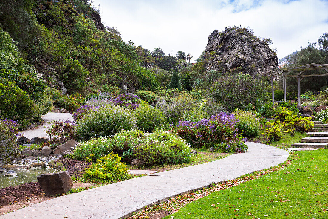 Jardin Canario Viera y Clavijo, Botanischer Garten, Tafira, Las Palmas, Gran Canaria, Kanarische Inseln, Spanien