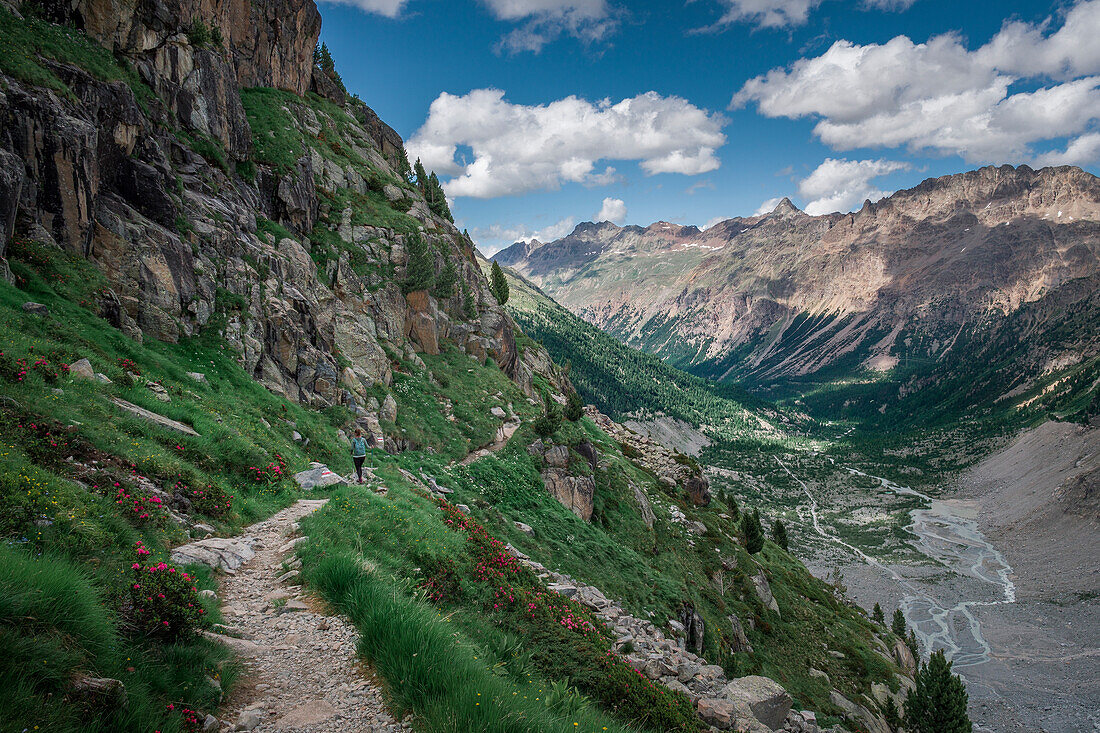 Woman hikes on path on Morteratsch Glacier in the Engadin in the Swiss Alps in summer