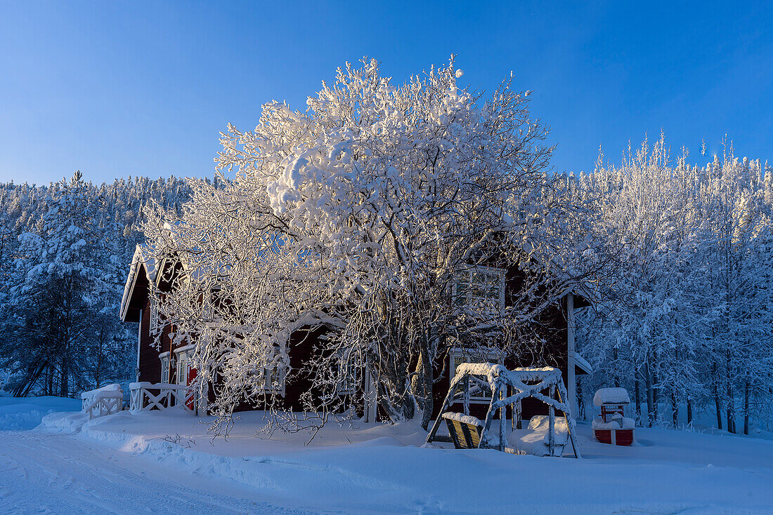 Sauna and guesthouse Immelkartano in Levi, Finland