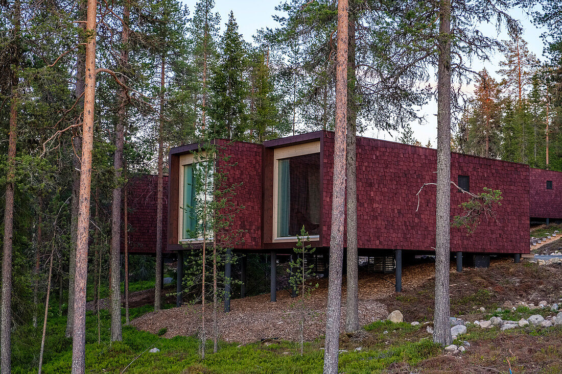 Holzcontainer im Wald, Arctic Tree House Hotel, Rovaniemi, Finnland